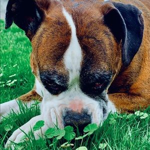 Meet your Posher, William